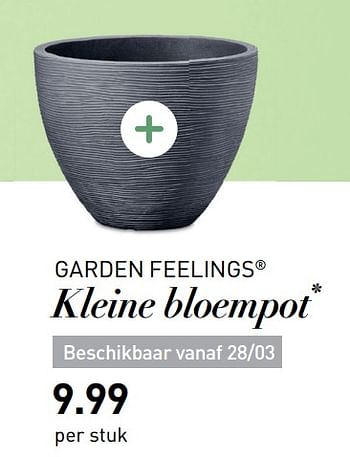 Lotsbestemming Profeet Haalbaar Garden Feelings Kleine bloempot - Promotie bij Aldi