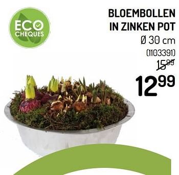 Promoties Bloembollen in zinken pot - Huismerk - Oh'Green - Geldig van 11/03/2020 tot 22/03/2020 bij Oh'Green