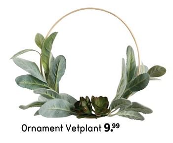 Promoties Ornament vetplant - Huismerk - Leen Bakker - Geldig van 04/04/2020 tot 31/12/2020 bij Leen Bakker