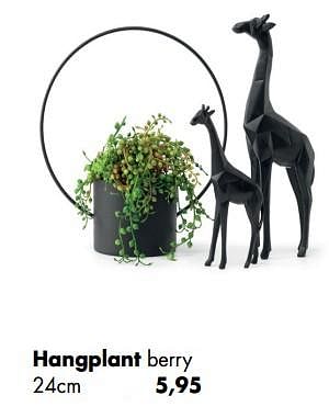 Promoties Hangplant berry - Huismerk - Multi Bazar - Geldig van 11/05/2020 tot 01/06/2020 bij Multi Bazar