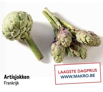 Promoties Artisjokken - Huismerk - Makro - Geldig van 20/05/2020 tot 02/06/2020 bij Makro