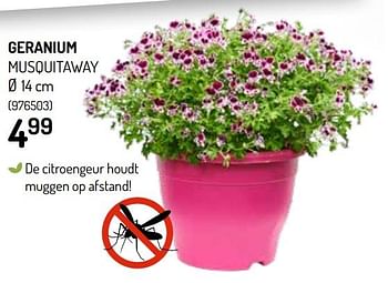Promoties Geranium musquitaway - Huismerk - Oh'Green - Geldig van 20/05/2020 tot 31/05/2020 bij Oh'Green