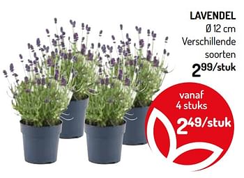 Promoties Lavendel - Huismerk - Oh'Green - Geldig van 20/05/2020 tot 31/05/2020 bij Oh'Green
