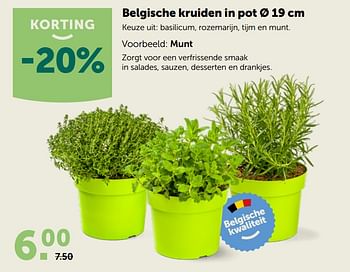 Promoties Korting belgische kruiden in pot - Huismerk - Aveve - Geldig van 20/05/2020 tot 30/05/2020 bij Aveve