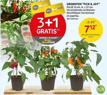 Promoties Groenten pick + joy - Huismerk - BricoPlanit - Geldig van 03/06/2020 tot 15/06/2020 bij BricoPlanit