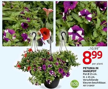 Promotions Petunia in hangpot - Central Park - Valide de 03/06/2020 à 15/06/2020 chez BricoPlanit