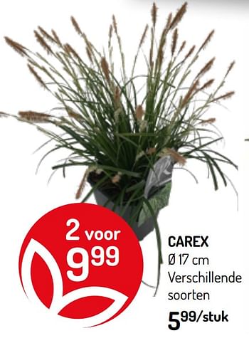 Promoties Carex - Huismerk - Oh'Green - Geldig van 03/06/2020 tot 14/06/2020 bij Oh'Green