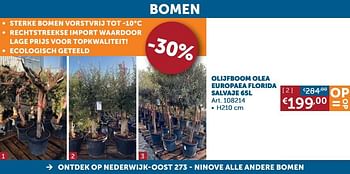 Promoties Olijfboom olea europaea florida salvaje - Huismerk - Zelfbouwmarkt - Geldig van 23/06/2020 tot 20/07/2020 bij Zelfbouwmarkt