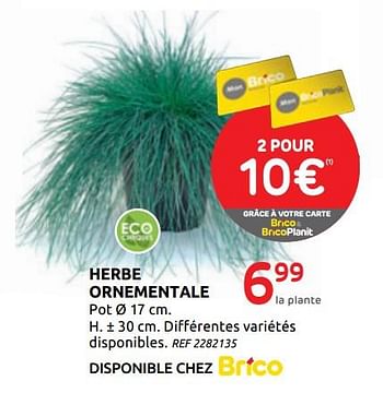 Promotions Herbe ornementale - Produit maison - BricoPlanit - Valide de 01/07/2020 à 13/07/2020 chez BricoPlanit