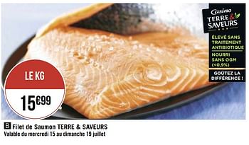 Promoties Filet de saumon terre + saveurs - Huismerk - Géant Casino - Geldig van 14/07/2020 tot 19/07/2020 bij Géant Casino