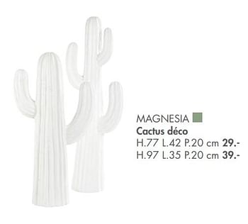Promotions Magnesia cactus déco - Produit maison - Casa - Valide de 08/08/2020 à 13/09/2020 chez Casa