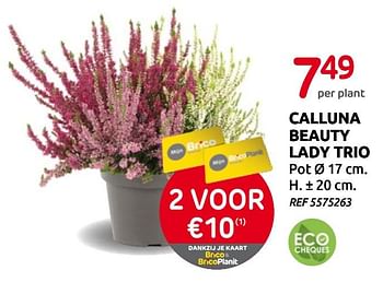 Promotions Calluna beauty lady trio - Produit maison - BricoPlanit - Valide de 02/09/2020 à 14/09/2020 chez BricoPlanit