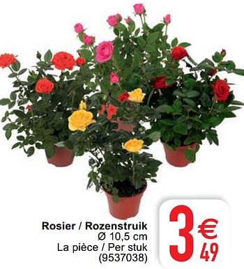 Promotions Rosier - rozenstruik - Produit maison - Cora - Valide de 08/09/2020 à 21/09/2020 chez Cora