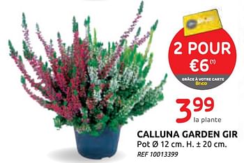 Promotions Calluna garden gir - Produit maison - Brico - Valide de 16/09/2020 à 29/09/2020 chez Brico