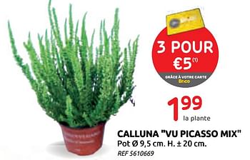 Promoties Calluna vu picasso mix - Huismerk - Brico - Geldig van 16/09/2020 tot 29/09/2020 bij Brico