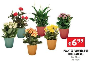 Promoties Plantes fleuries pot en ceramique - Huismerk - Trafic  - Geldig van 09/09/2020 tot 13/09/2020 bij Trafic