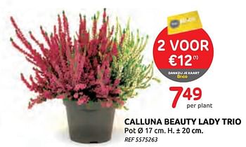 Promoties Calluna beauty lady trio - Huismerk - BricoPlanit - Geldig van 16/09/2020 tot 29/09/2020 bij BricoPlanit