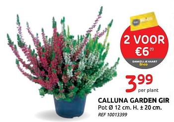 Promoties Calluna garden girl - Huismerk - BricoPlanit - Geldig van 16/09/2020 tot 29/09/2020 bij BricoPlanit