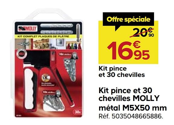 Produit Maison Castorama Kit pince et 30 chevilles molly m tal