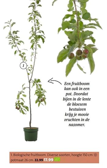 Promoties Biologische fruitboom - Huismerk - Intratuin - Geldig van 14/09/2020 tot 27/09/2020 bij Intratuin