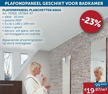 Promoties Plafondpaneel planchetten aqua - Huismerk - Zelfbouwmarkt - Geldig van 22/09/2020 tot 19/10/2020 bij Zelfbouwmarkt