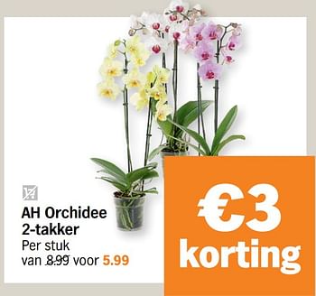Promoties Ah orchidee - Huismerk - Albert Heijn - Geldig van 21/09/2020 tot 27/09/2020 bij Albert Heijn