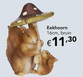 Promoties Eekhoorn - Huismerk - Happyland - Geldig van 04/10/2020 tot 31/10/2020 bij Happyland