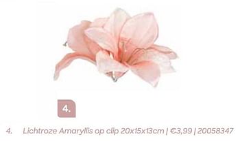 Promoties Lichtroze amaryllis op clip - Huismerk - Ava - Geldig van 22/10/2020 tot 31/12/2020 bij Ava
