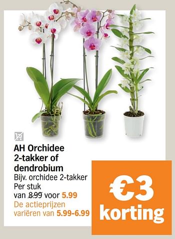 Promoties Ah orchidee 2-takker of dendrobium - Huismerk - Albert Heijn - Geldig van 09/11/2020 tot 15/11/2020 bij Albert Heijn
