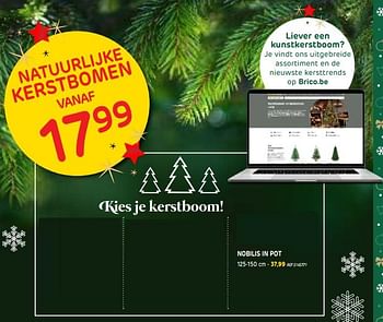 Promoties Nobilis in pot - Huismerk - BricoPlanit - Geldig van 02/12/2020 tot 28/12/2020 bij BricoPlanit