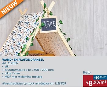 Promotions Wand- en plafondpaneel - Produit maison - Zelfbouwmarkt - Valide de 26/01/2021 à 01/03/2021 chez Zelfbouwmarkt