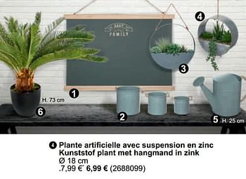 Promoties Plante artificielle avec suspension en zinc kunststof plant met hangmand in zink - Huismerk - Cora - Geldig van 26/01/2021 tot 08/02/2021 bij Cora