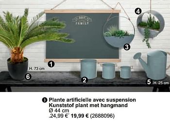 Promotions Plante artificielle avec suspension kunststof plant met hangmand - Produit maison - Cora - Valide de 26/01/2021 à 08/02/2021 chez Cora