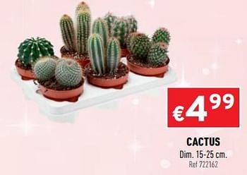 Promotions Cactus - Produit maison - Trafic  - Valide de 27/01/2021 à 31/01/2021 chez Trafic
