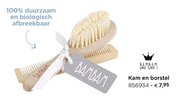 Promoties Kam en borstel - Bambam - Geldig van 05/02/2021 tot 31/12/2021 bij Dreambaby