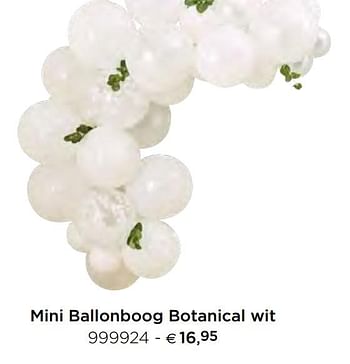 Promoties Mini ballonboog botanical wit - Huismerk - Dreambaby - Geldig van 05/02/2021 tot 31/12/2021 bij Dreambaby