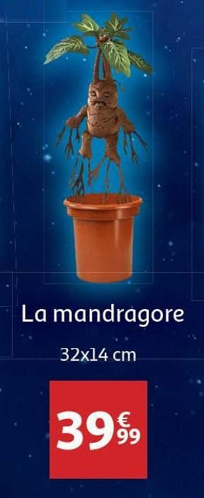 Promoties La mandragore - Huismerk - Auchan - Geldig van 06/02/2021 tot 07/03/2021 bij Auchan