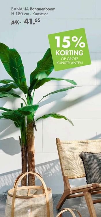 Promoties Banana bananenboom - Huismerk - Casa - Geldig van 08/02/2021 tot 14/03/2021 bij Casa