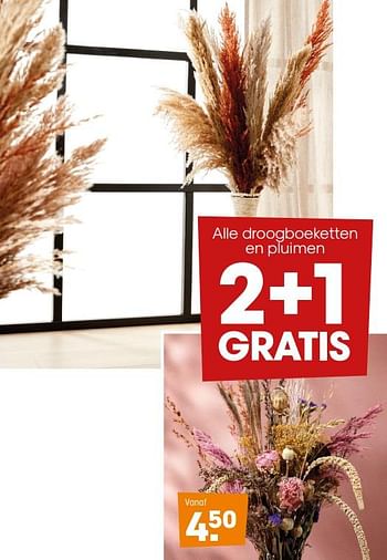 Promoties Droogboeketten en pluimen - Huismerk - Kwantum - Geldig van 15/02/2021 tot 28/02/2021 bij Kwantum