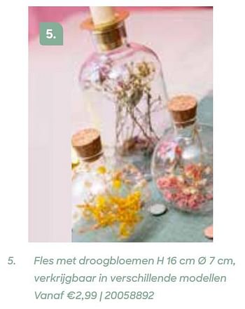 Promoties Fles met droogbloemen - Huismerk - Ava - Geldig van 11/02/2021 tot 31/07/2021 bij Ava