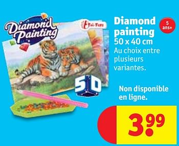 Promotions Diamond painting - Diamond - Valide de 16/02/2021 à 21/02/2021 chez Kruidvat