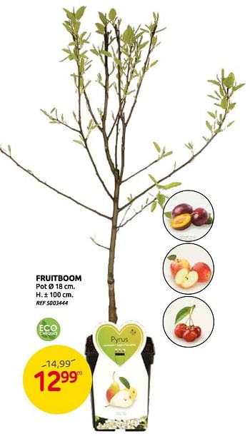 Promoties Fruitboom - Huismerk - Brico - Geldig van 03/03/2021 tot 15/03/2021 bij Brico