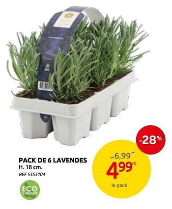 Promotions Pack de 6 lavendes - Produit maison - Brico - Valide de 03/03/2021 à 15/03/2021 chez Brico