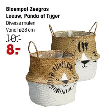 Promoties Bloempot zeegras leeuw, panda of tijger - Huismerk - Kwantum - Geldig van 01/03/2021 tot 14/03/2021 bij Kwantum