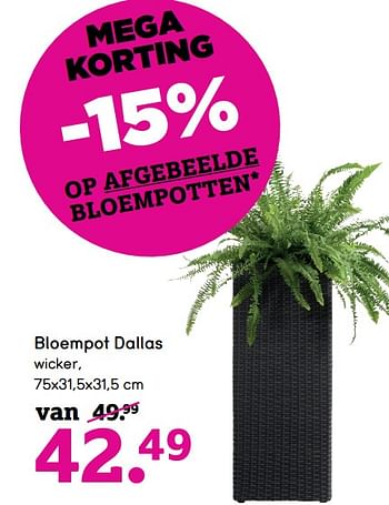 Promoties Bloempot dallas - Huismerk - Leen Bakker - Geldig van 01/03/2021 tot 28/03/2021 bij Leen Bakker
