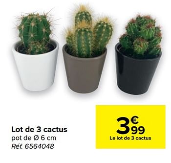 Promotions Lot de 3 cactus - Produit maison - Carrefour  - Valide de 10/03/2021 à 22/03/2021 chez Carrefour