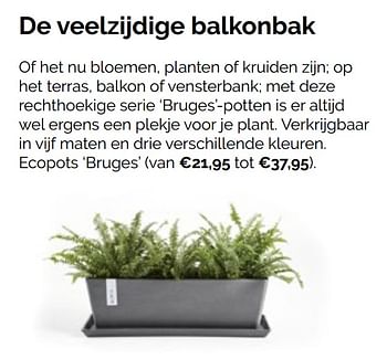 Promoties Ecopots bruges - Ecopots - Geldig van 31/03/2021 tot 10/04/2021 bij Aveve