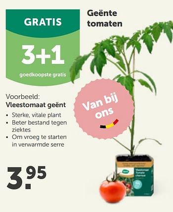 Promoties Vleestomaat geënt - Huismerk - Aveve - Geldig van 31/03/2021 tot 10/04/2021 bij Aveve