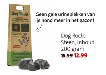 Promoties Dog rocks steen, inhoud - Dog Rocks - Geldig van 05/04/2021 tot 11/04/2021 bij Intratuin