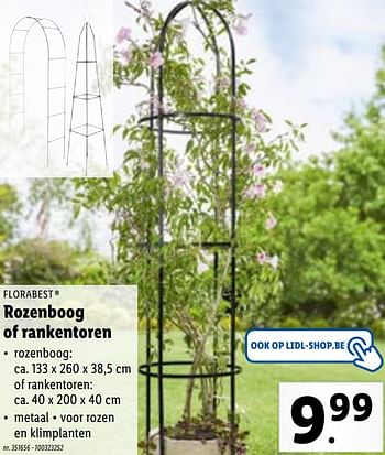 Promoties Rozenboog of rankentoren - Flora  Best - Geldig van 19/04/2021 tot 24/04/2021 bij Lidl
